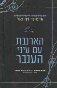 הארנבת עם עיני הענבר