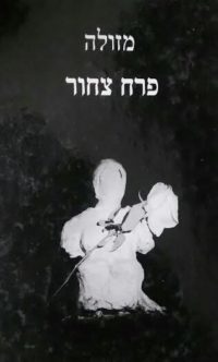 פרח צחור