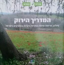 המדריך הירוק