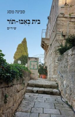 בית באבו-תור